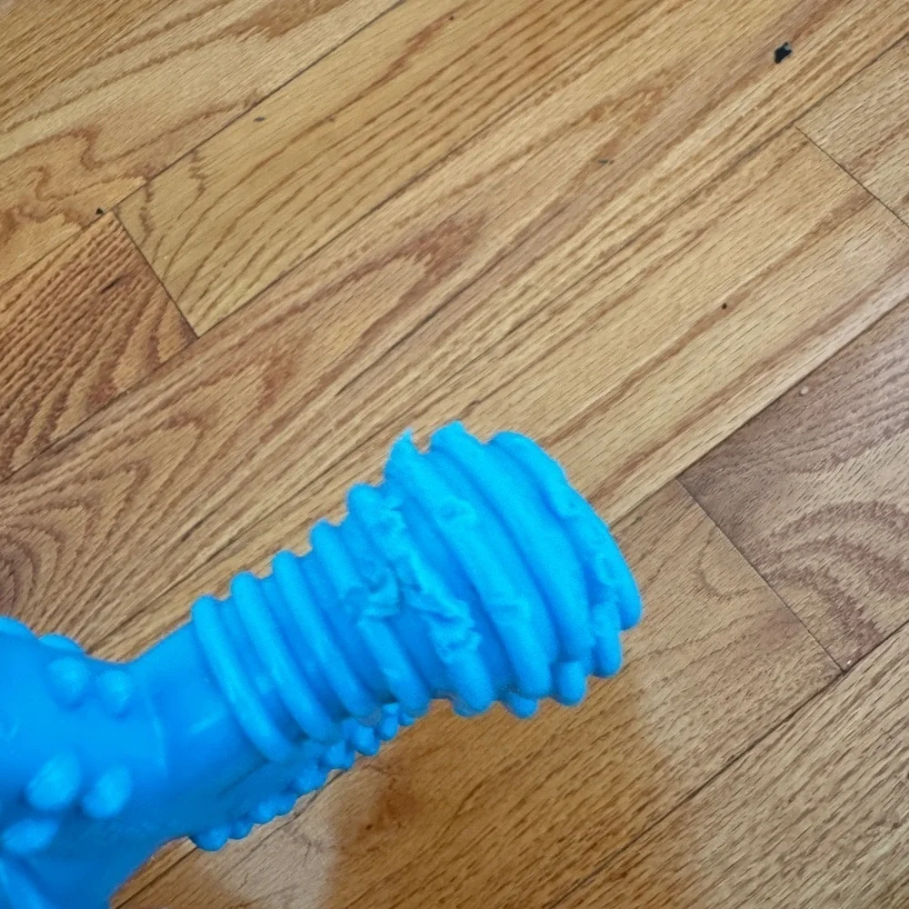 Nylabone good chewed